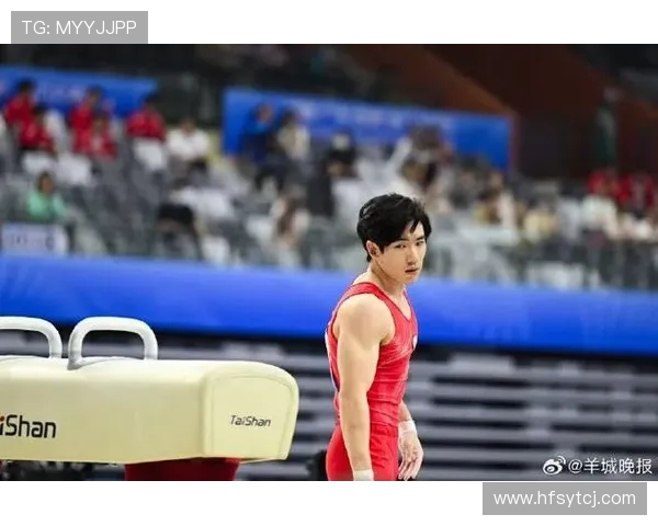 张博恒谈对体操艺术的勇猛进